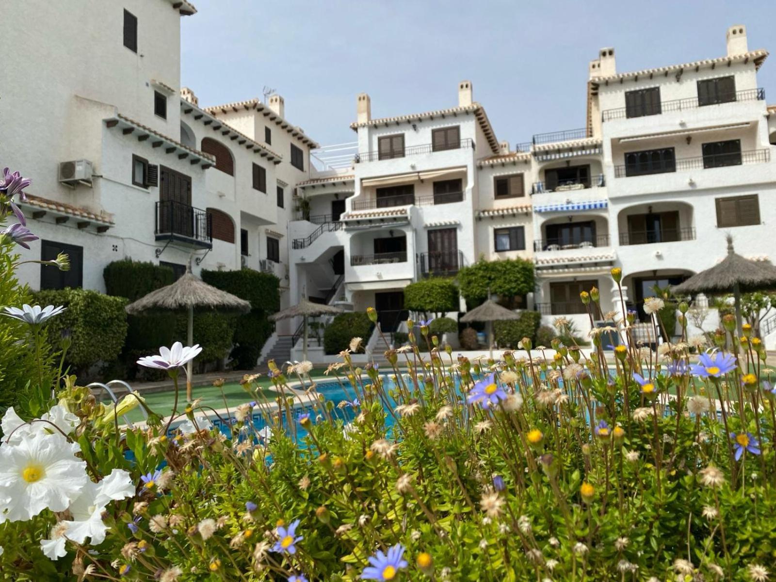 Lobo En Cabo Apartment, Cabo Roig , Orihuela Costa Extérieur photo